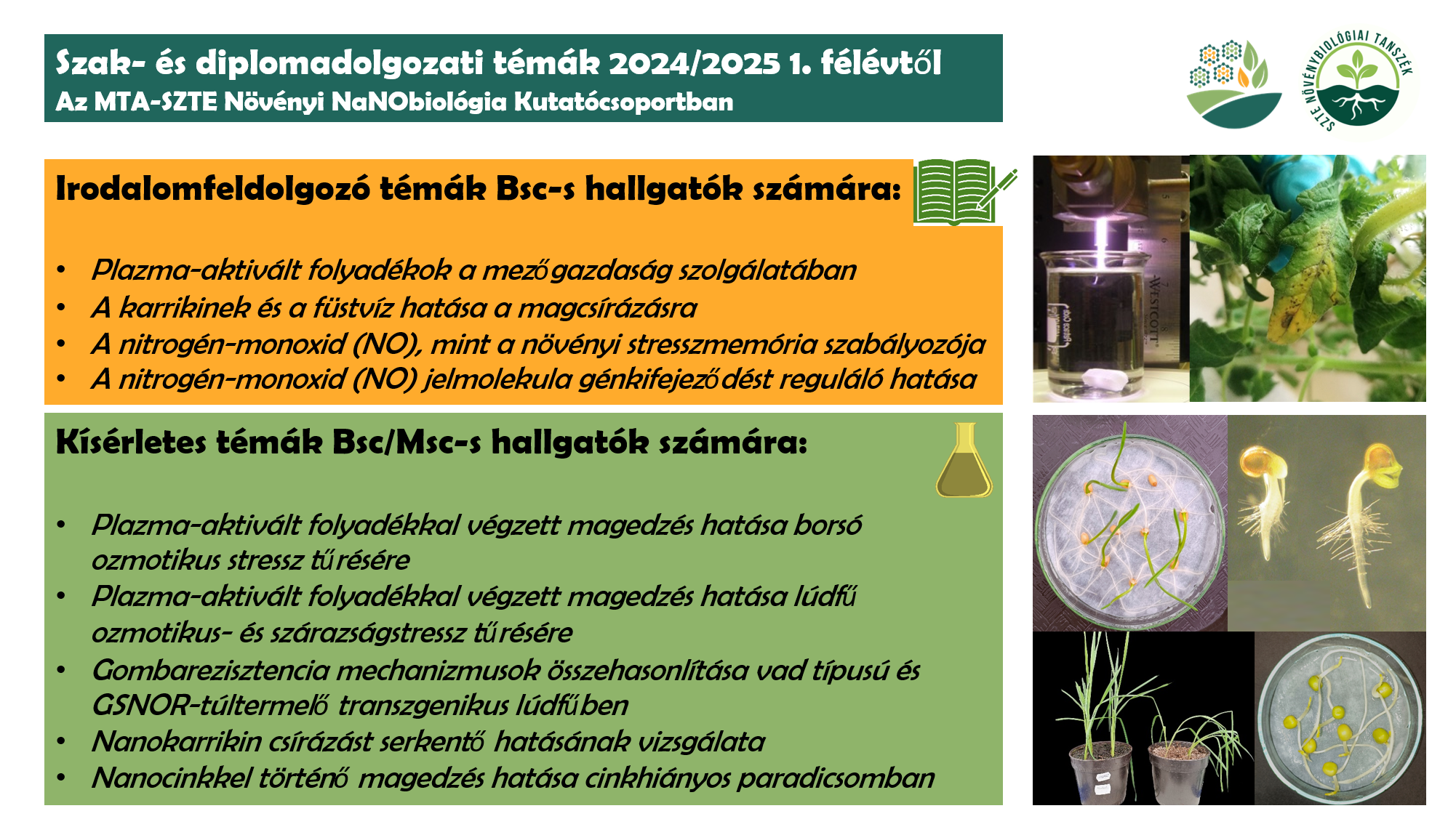 szakdolgozati témáink